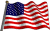 Usa flag